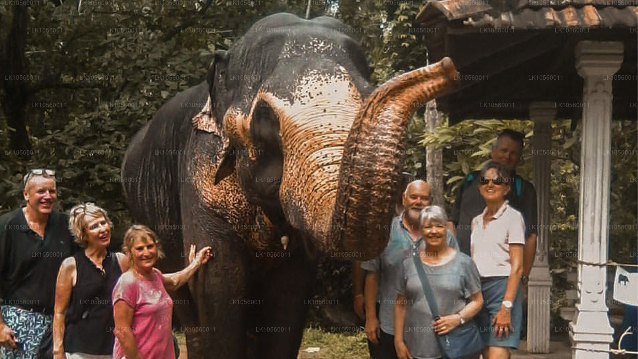 Pas przybrzeżny Południa (5 dni)