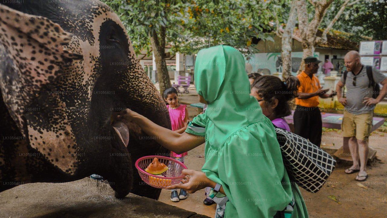 Hotspoty Sri Lanki (5 dni)