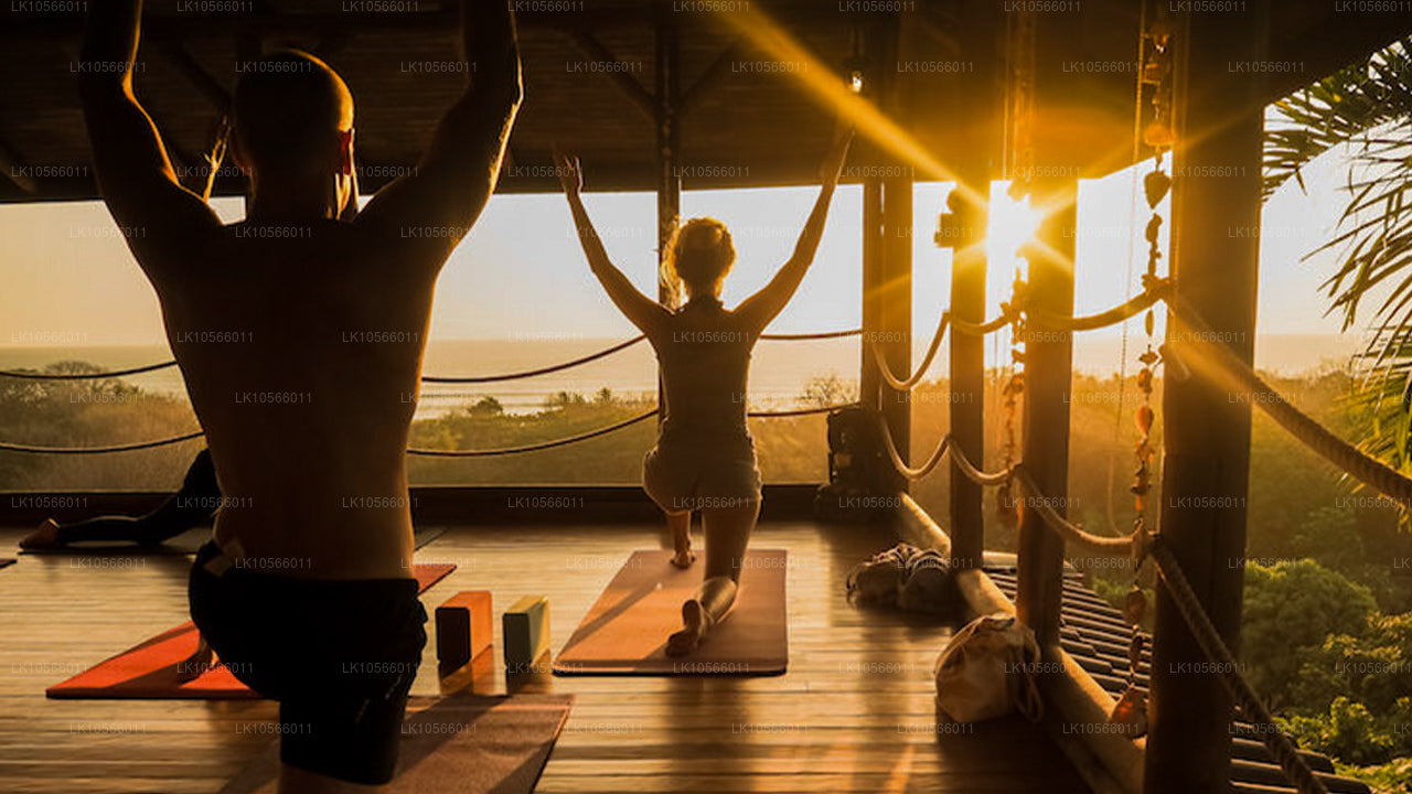 Medytacja i Joga Tour (5 dni)