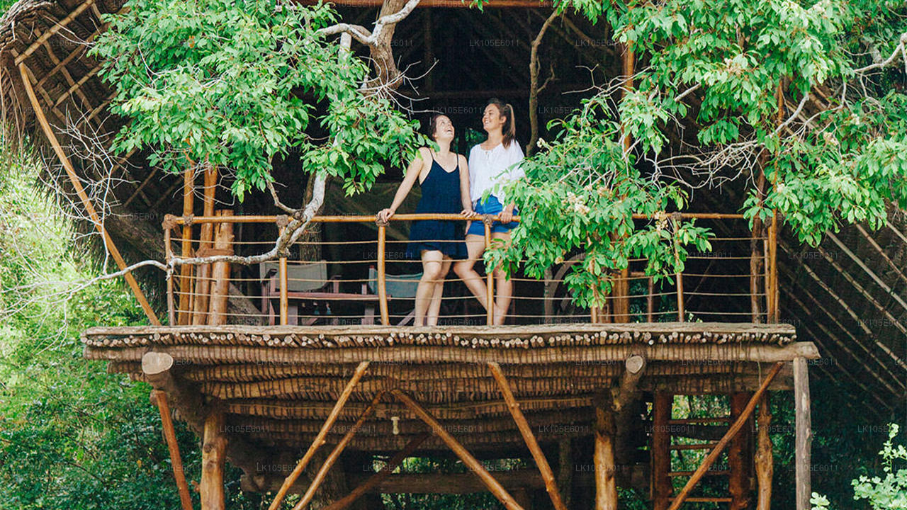 Wycieczki ekologiczne po Sri Lance (6 dni)