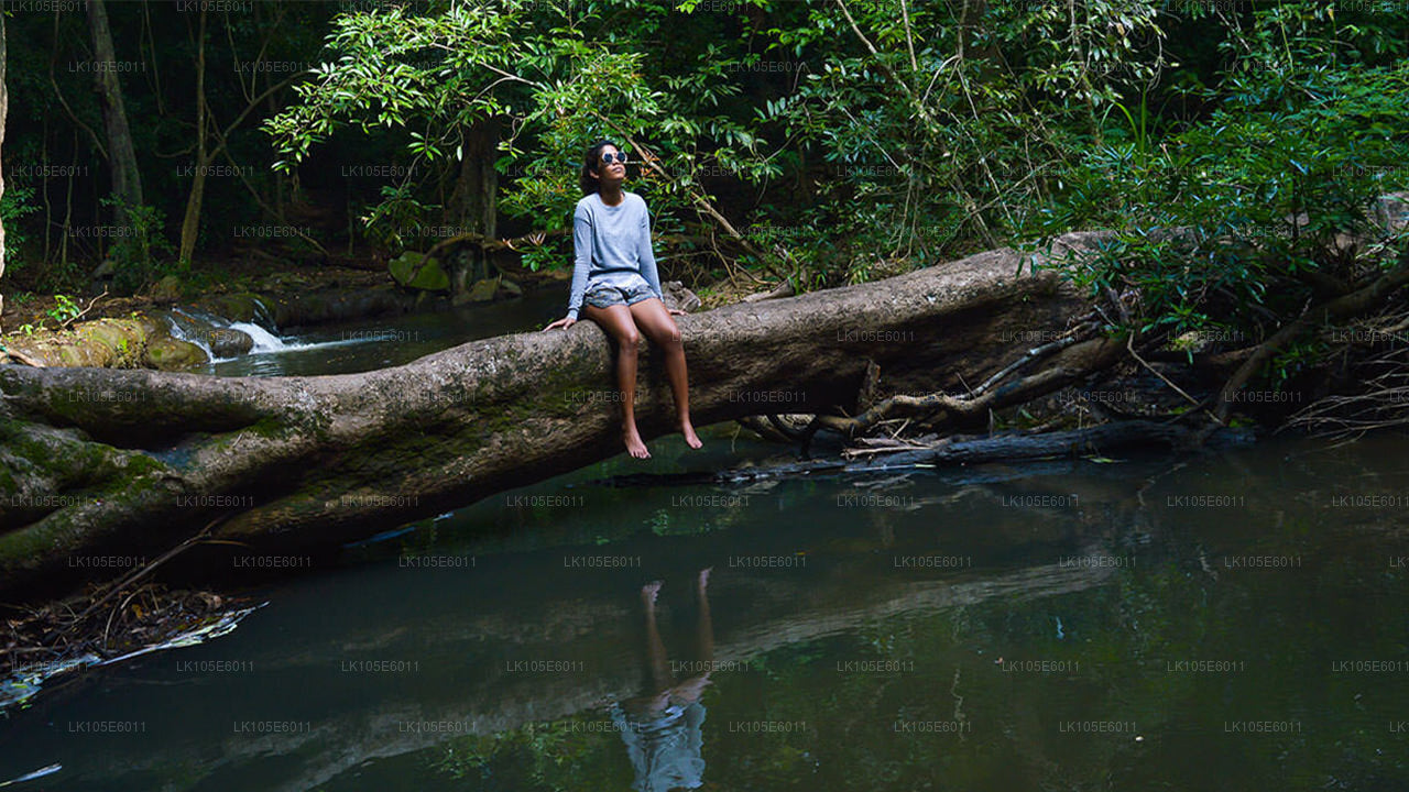 Wycieczki ekologiczne po Sri Lance (6 dni)