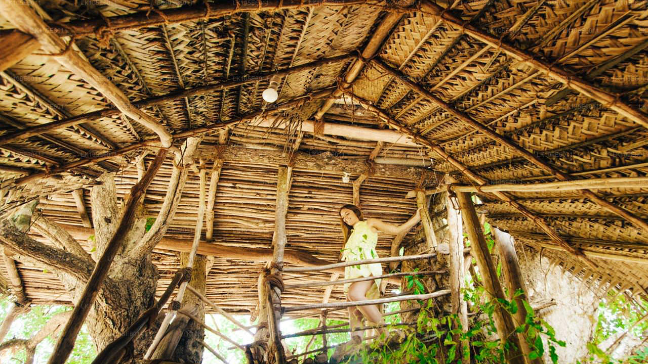 Wycieczki ekologiczne po Sri Lance (6 dni)