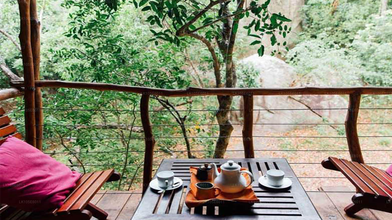 Wycieczki ekologiczne po Sri Lance (6 dni)