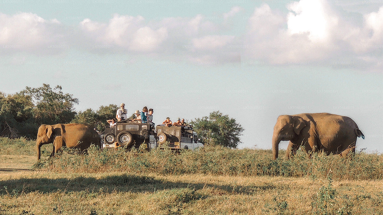 Wspaniała Sri Lanka (6 dni)