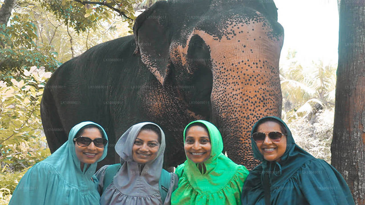 Przyroda, wzgórza i dzika przyroda (6 dni)