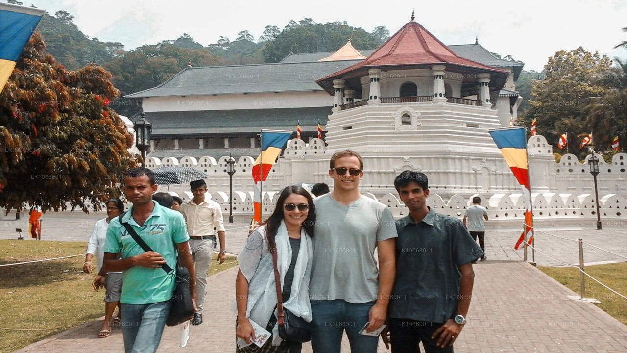 Przyroda, wzgórza i dzika przyroda (6 dni)