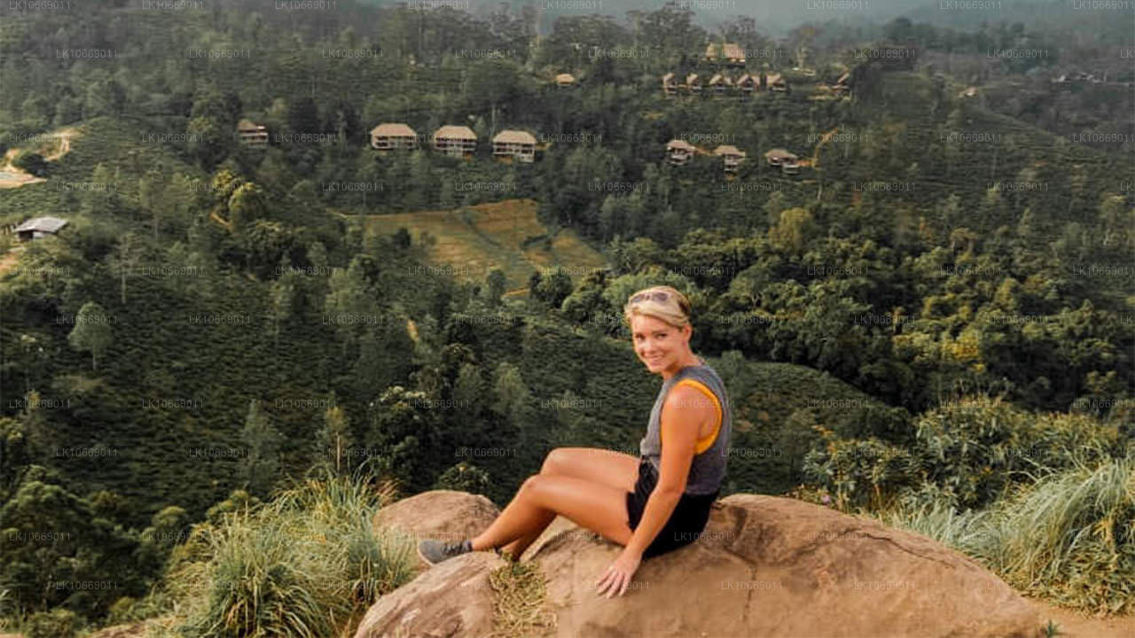 Przyroda, wzgórza i dzika przyroda (6 dni)