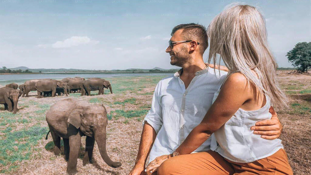 Kraj kulturalny i centralny (6 dni)