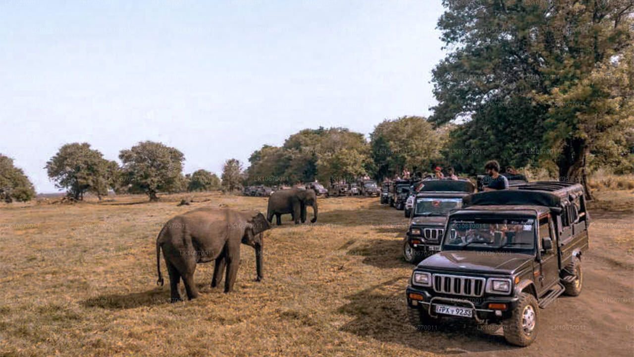 Kraj kulturalny i centralny (6 dni)