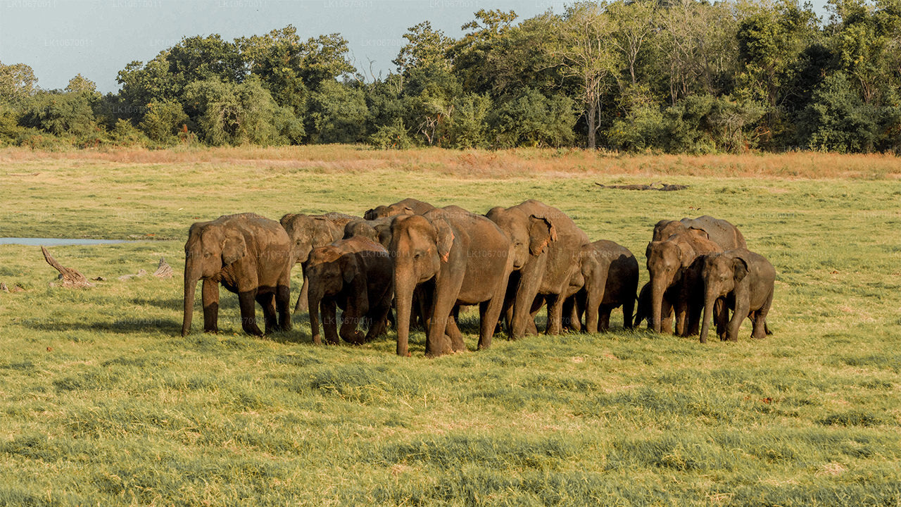 Kraj kulturalny i centralny (6 dni)