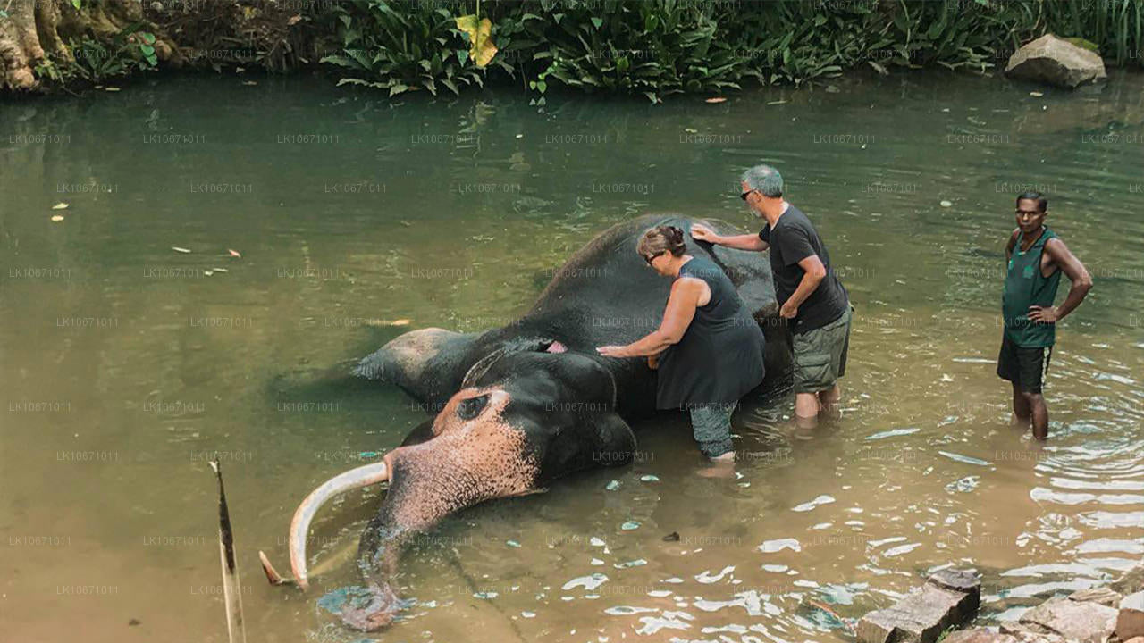 Szlak Ramayana (6 dni)