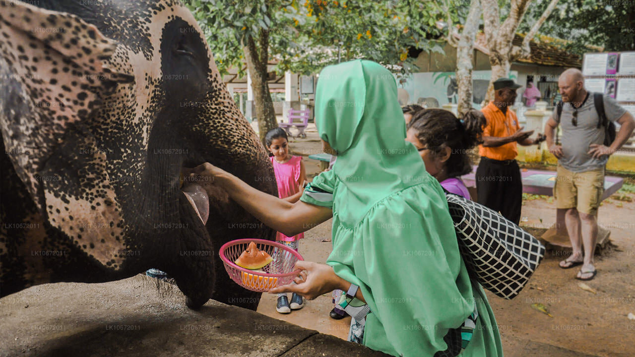Buddyjska pielgrzymka (6 dni)