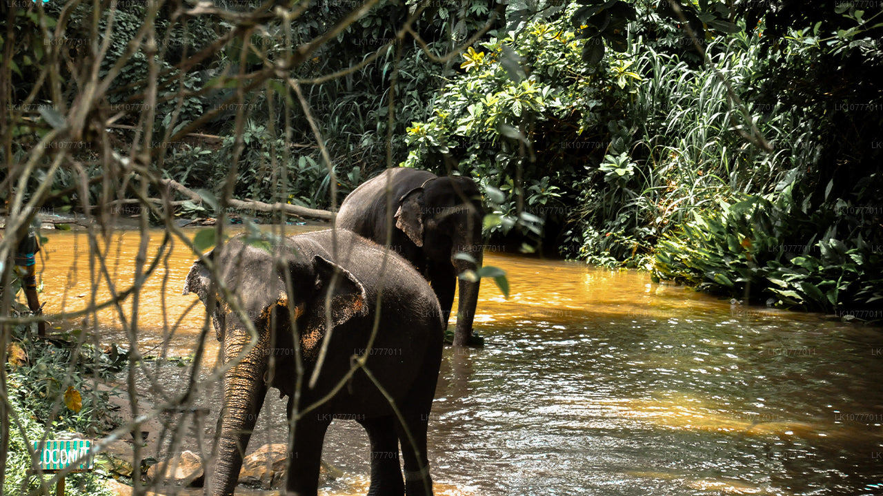 Tydzień w raju (7 dni)