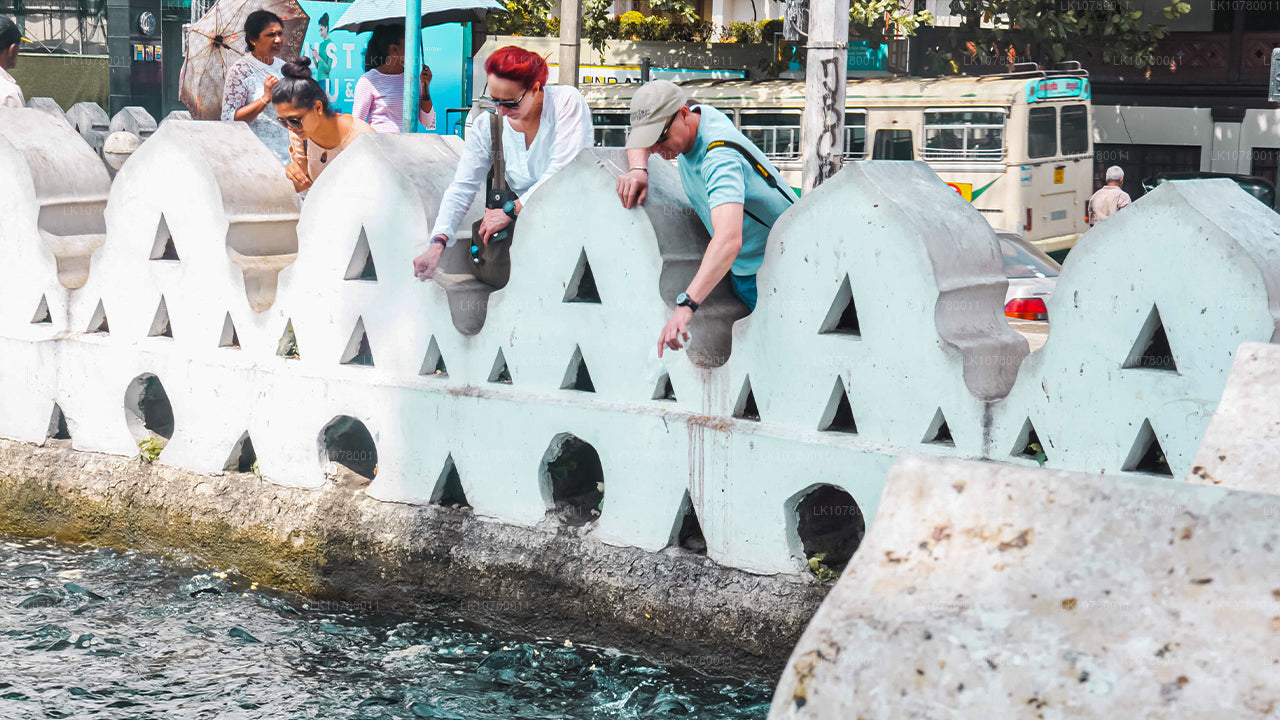 Mieszanka brzegu i wzgórz (7 dni)