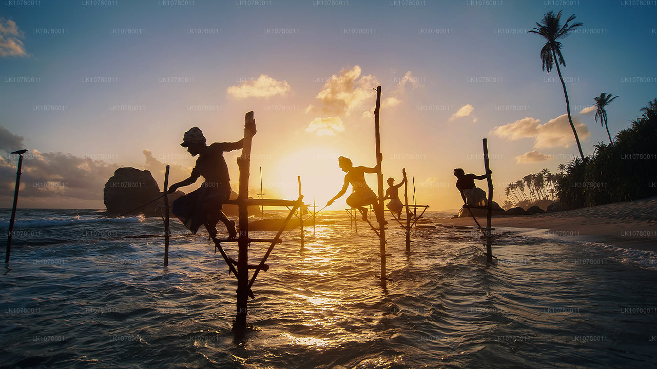 Mieszanka brzegu i wzgórz (7 dni)