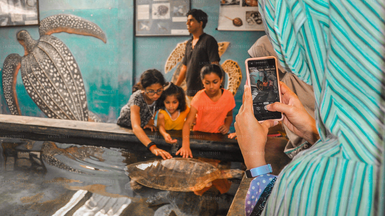 Złote Wybrzeże Południa (7 dni)