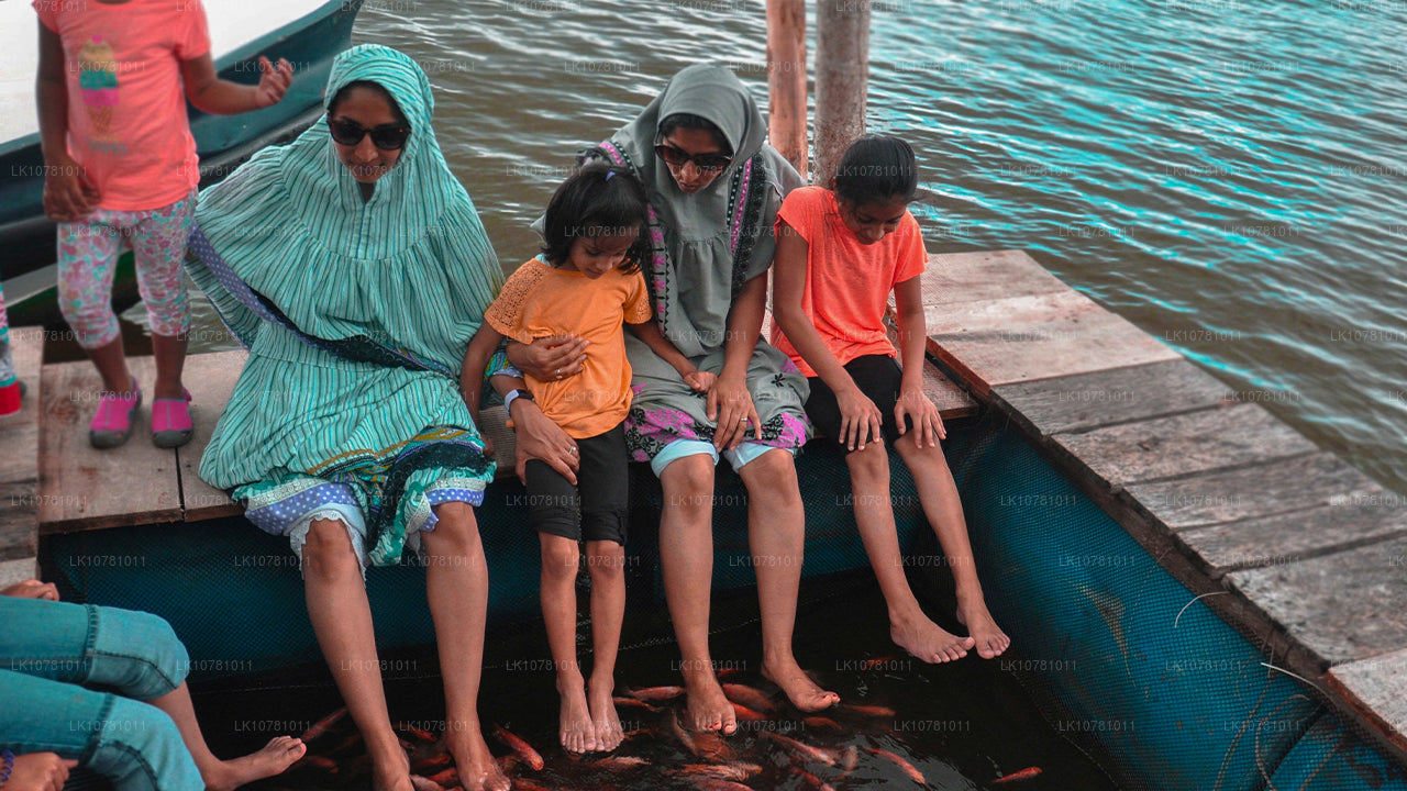 Złote Wybrzeże Południa (7 dni)