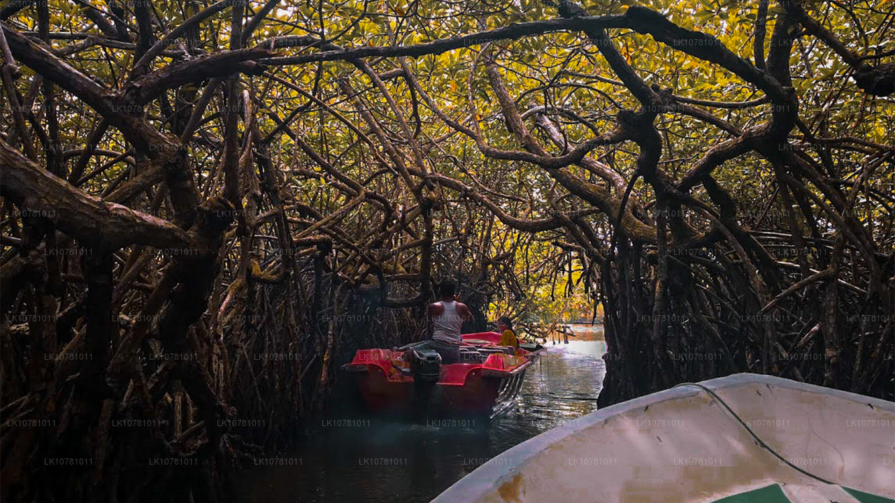 Złote Wybrzeże Południa (7 dni)