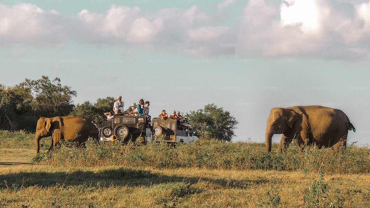 Cuda Wschodu (7 dni)