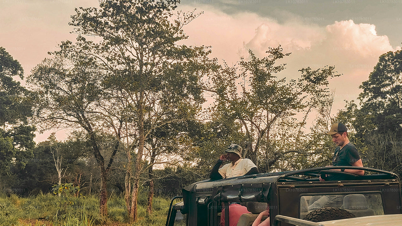 Wielka Piątka w sezonie południowego wybrzeża (7 dni)