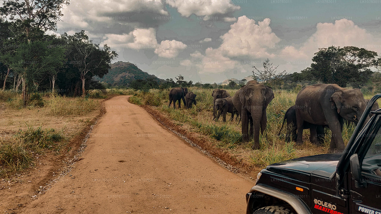 Wielka Piątka w sezonie południowego wybrzeża (7 dni)