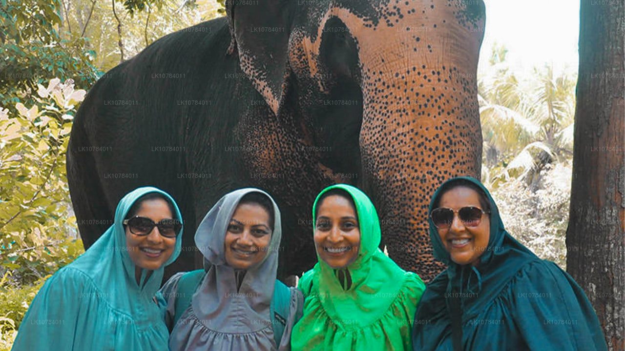 Sri Lanka Wycieczka halal (islamska) (7 dni)