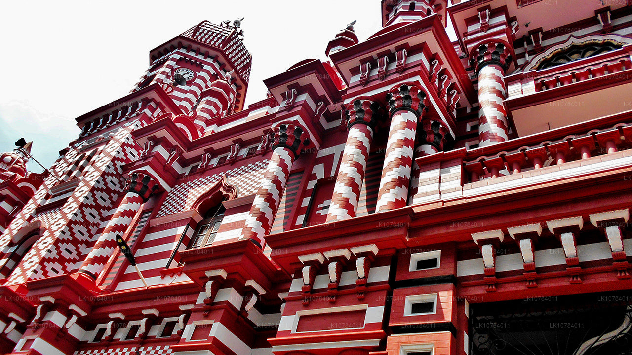 Sri Lanka Wycieczka halal (islamska) (7 dni)