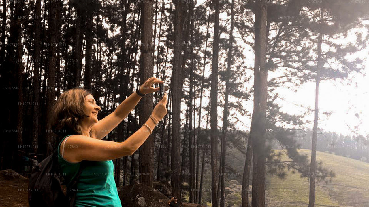 Sri Lanka Wycieczka halal (islamska) (7 dni)