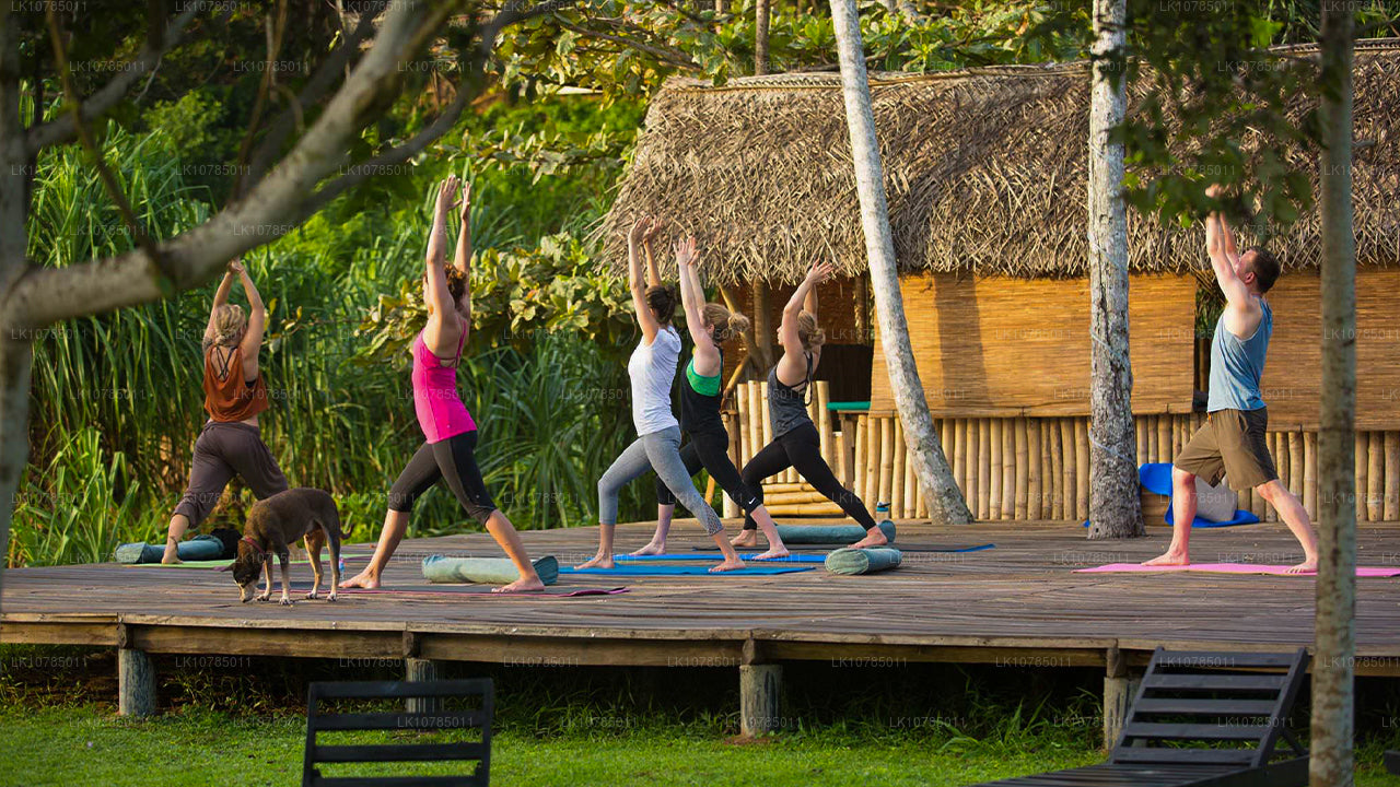 Ajurweda ucieczka w Wadduwa (7 dni)