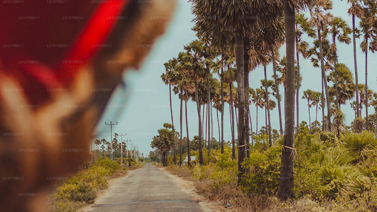 Niesamowita Jaffna (7 dni)