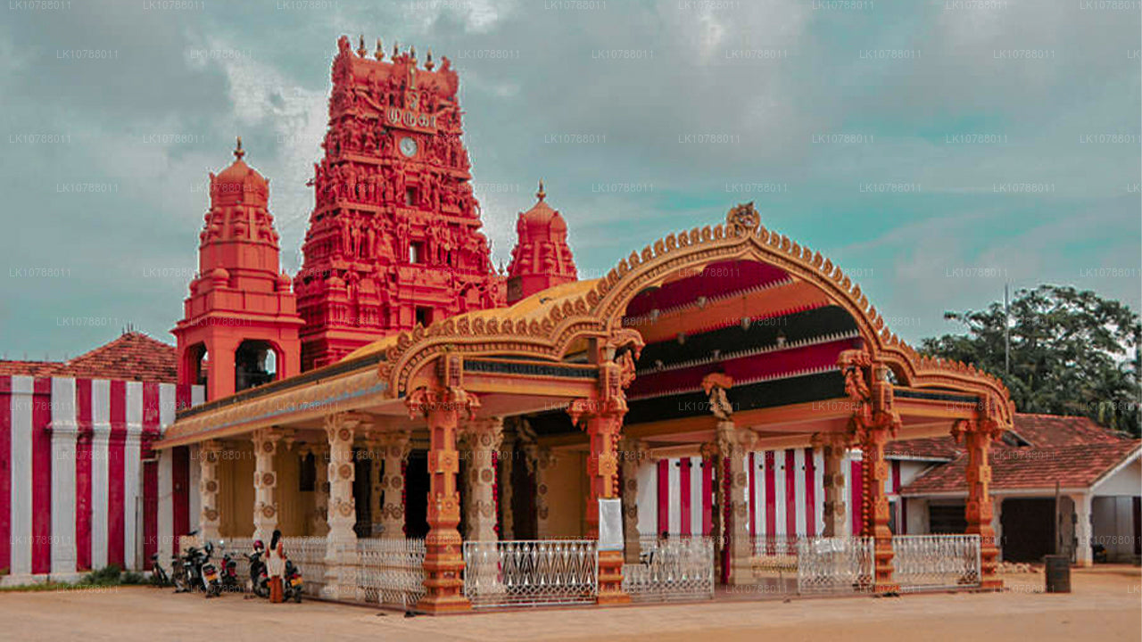 Niesamowita Jaffna (7 dni)