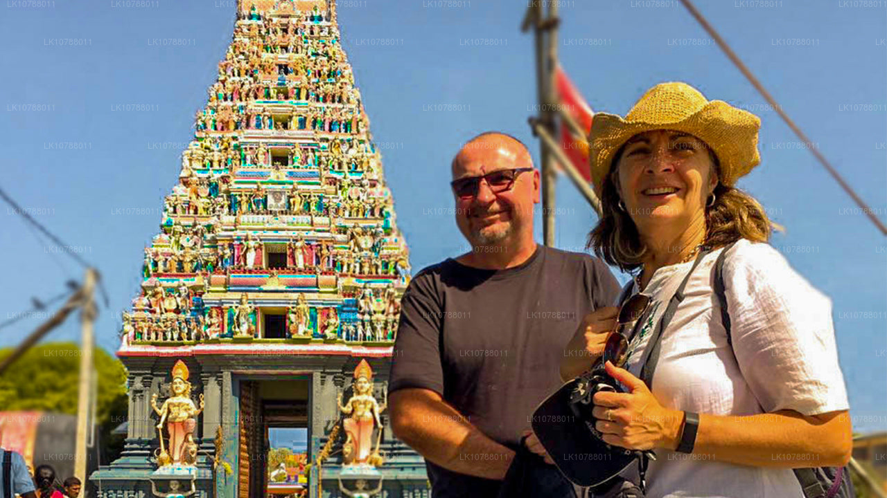 Niesamowita Jaffna (7 dni)