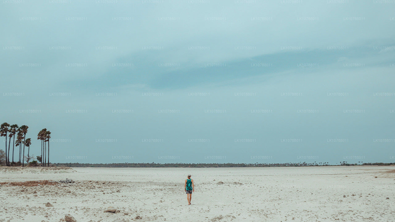 Niesamowita Jaffna (7 dni)