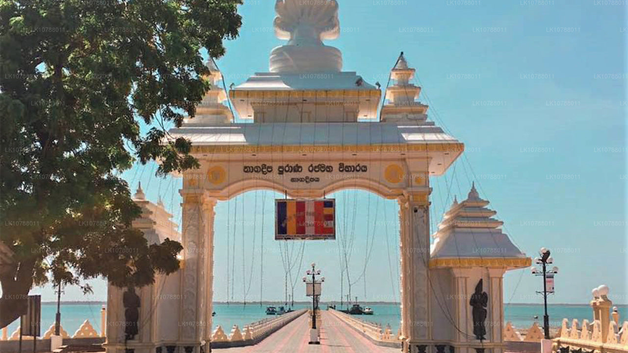 Niesamowita Jaffna (7 dni)