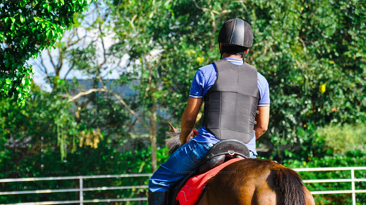 Wycieczka konna (7 dni)