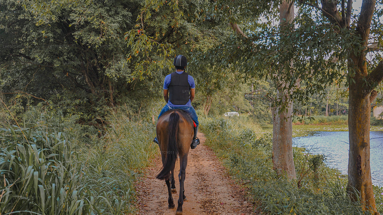 Wycieczka konna (7 dni)