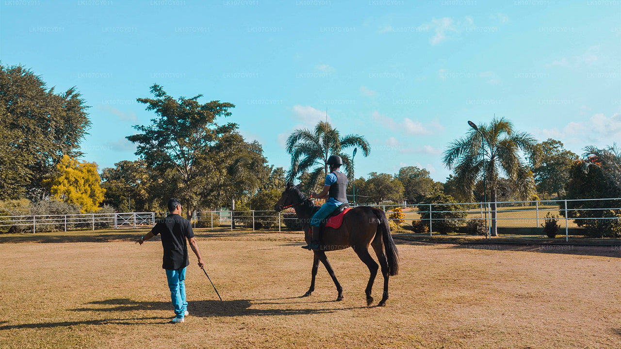 Wycieczka konna (7 dni)