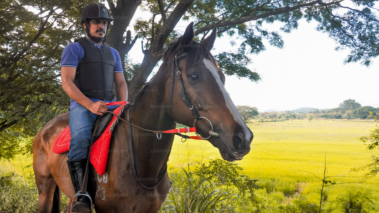 Wycieczka konna (7 dni)