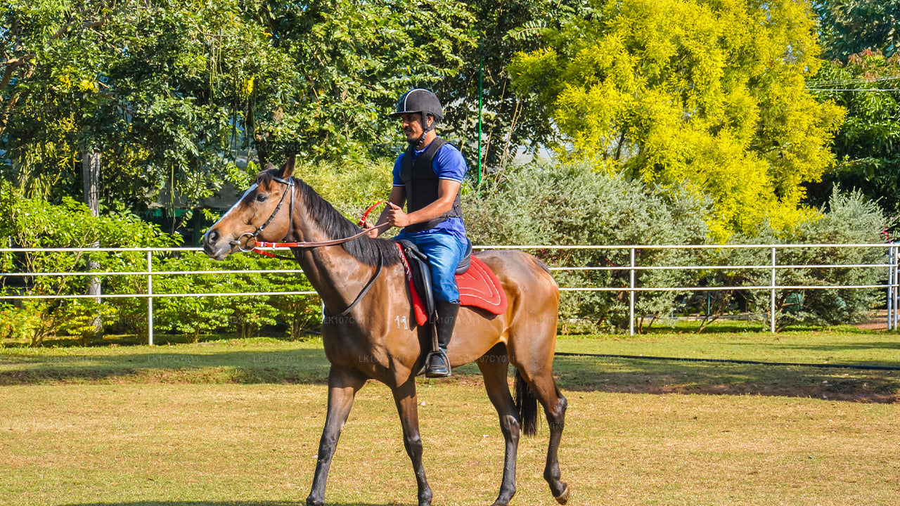 Wycieczka konna (7 dni)