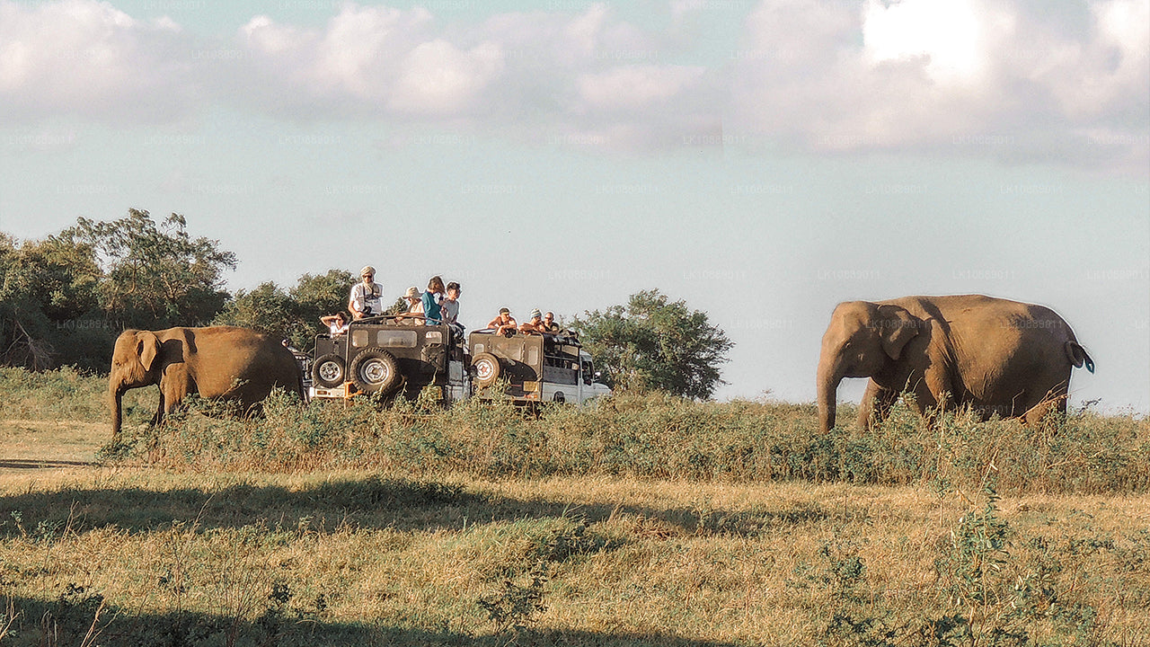 Spacer pośród kultury (8 dni)