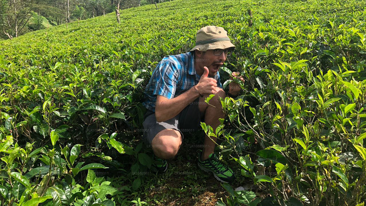 Spacer pośród kultury (8 dni)