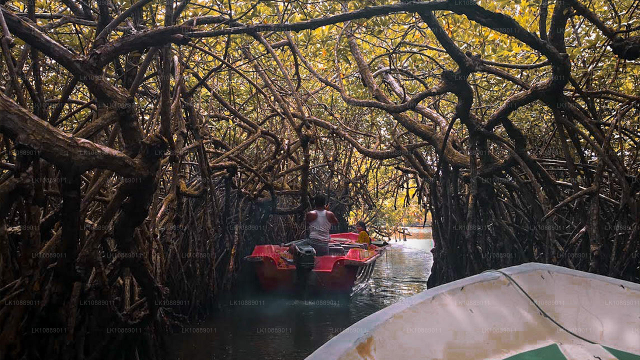 Spacer pośród kultury (8 dni)