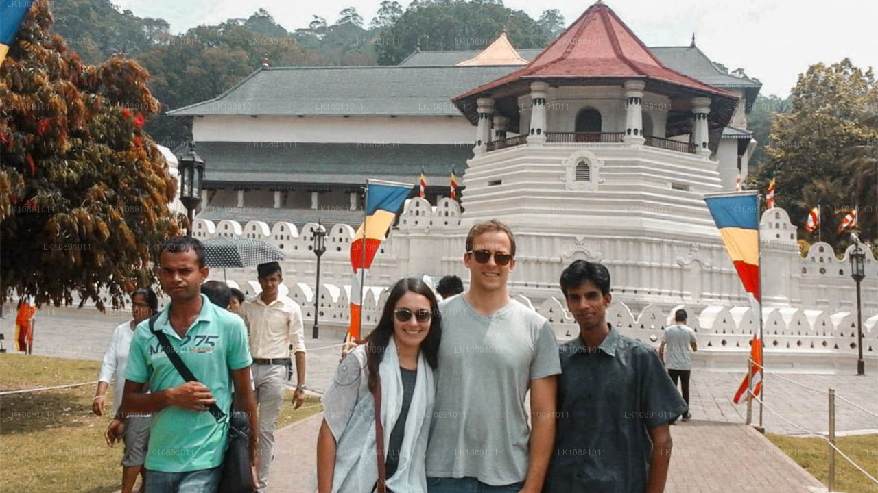 Kwintesencja Cejlonu (8 dni)