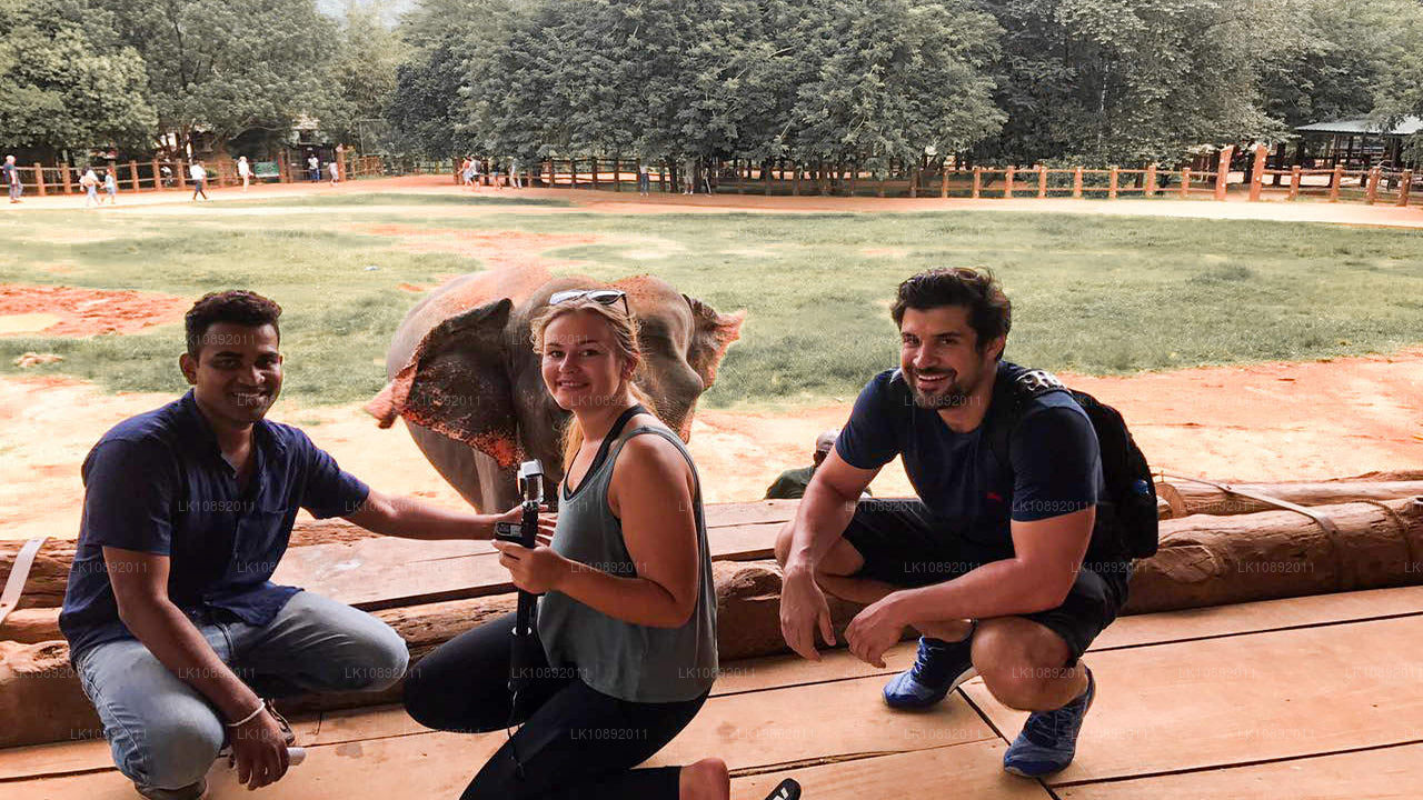 Kultura, dzika przyroda i przyroda (8 dni)