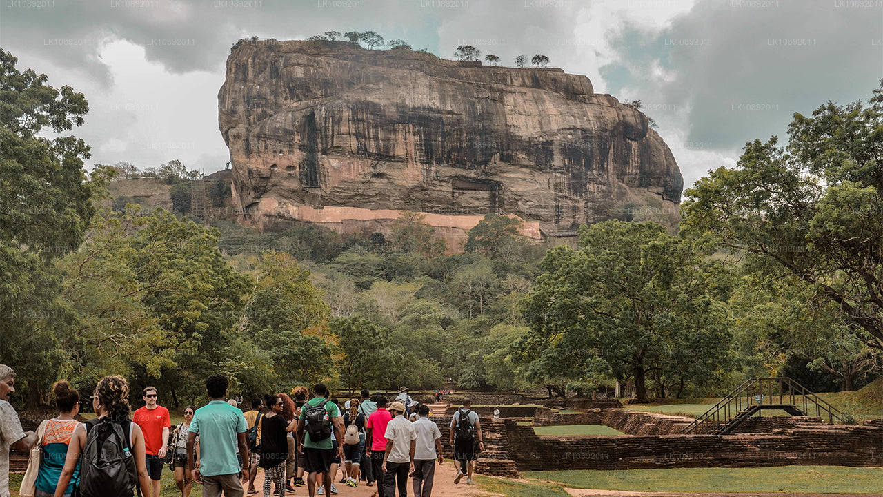 Kultura, dzika przyroda i przyroda (8 dni)