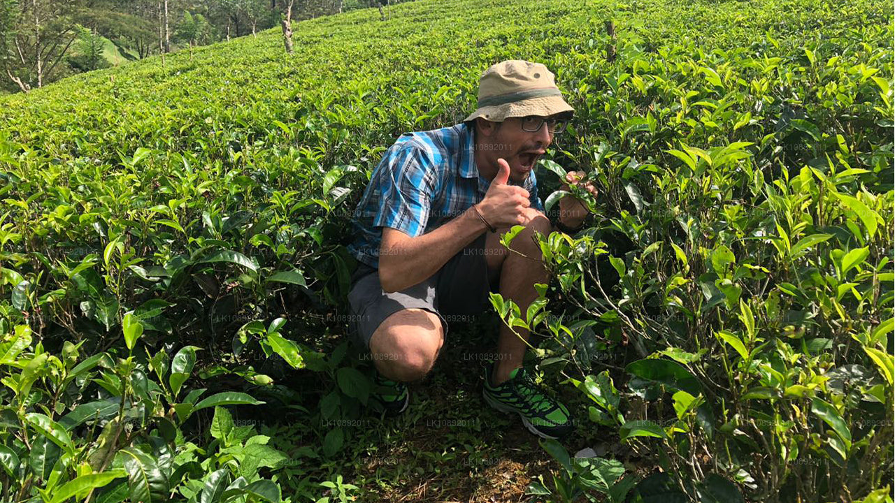 Kultura, dzika przyroda i przyroda (8 dni)