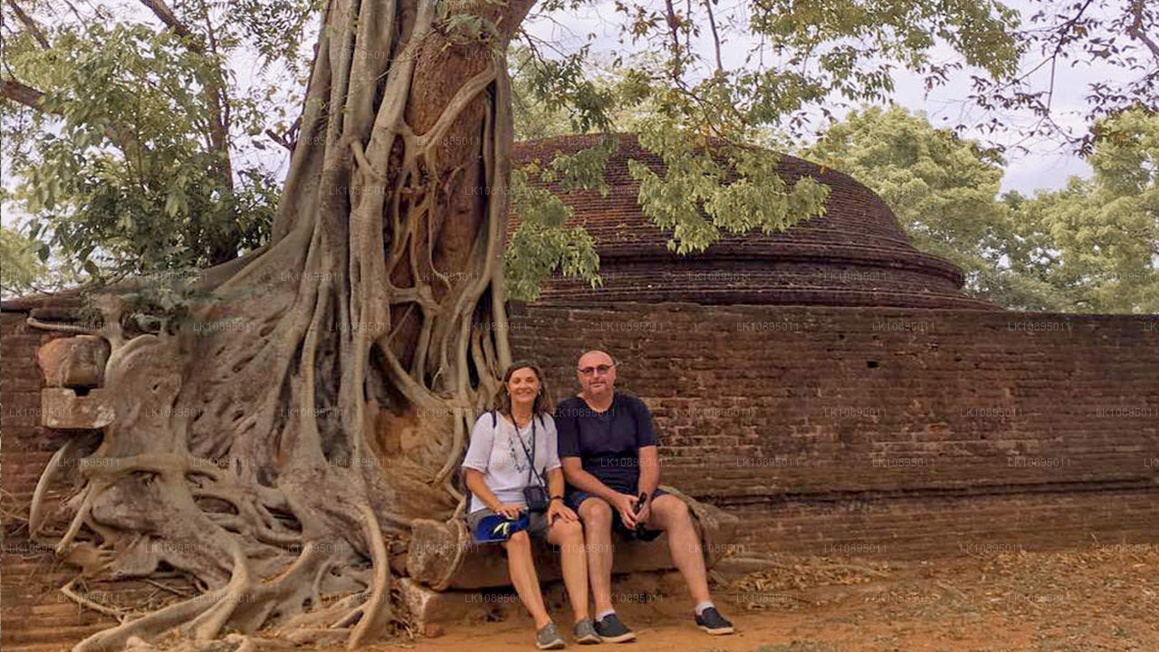 Wrażenia Geoffreya Bawy (8 dni)