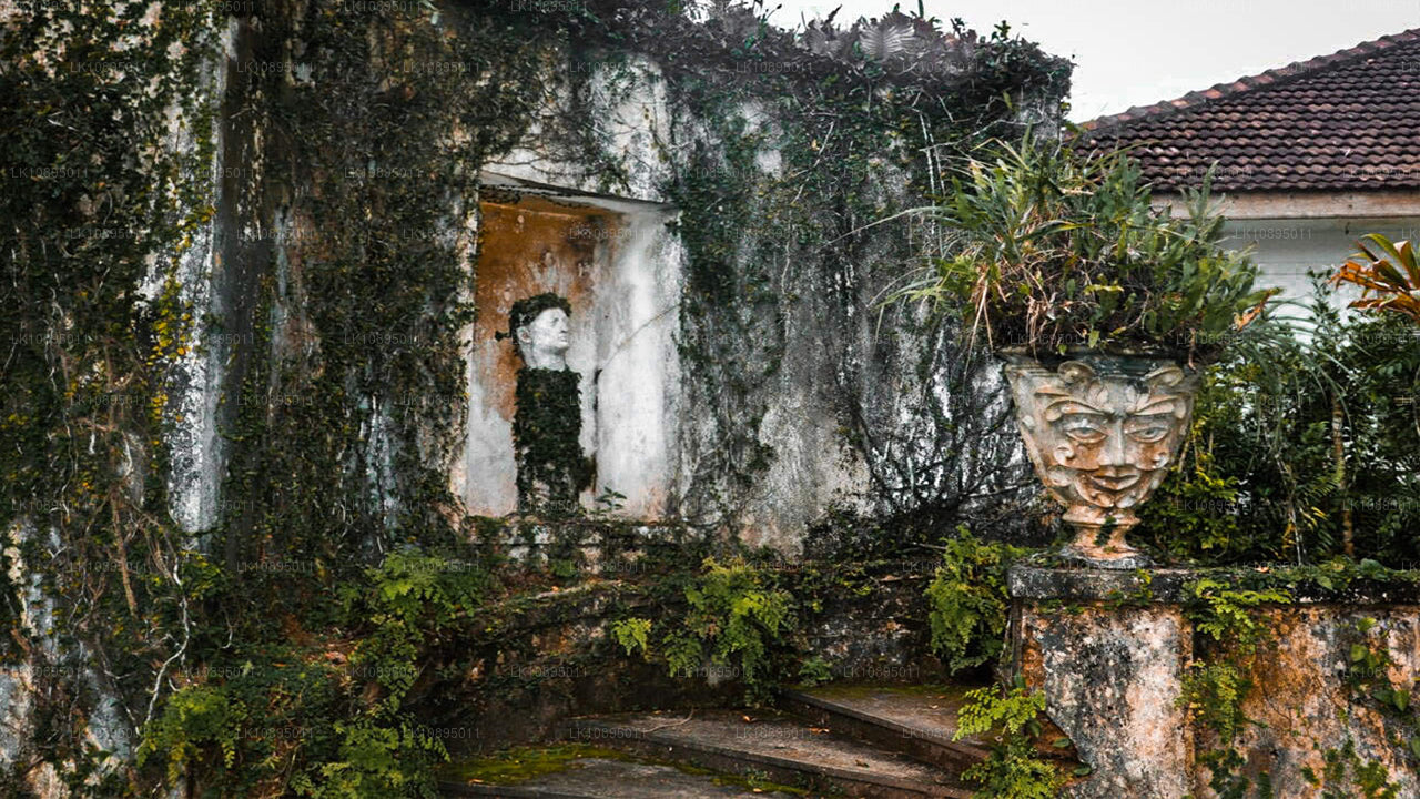 Wrażenia Geoffreya Bawy (8 dni)