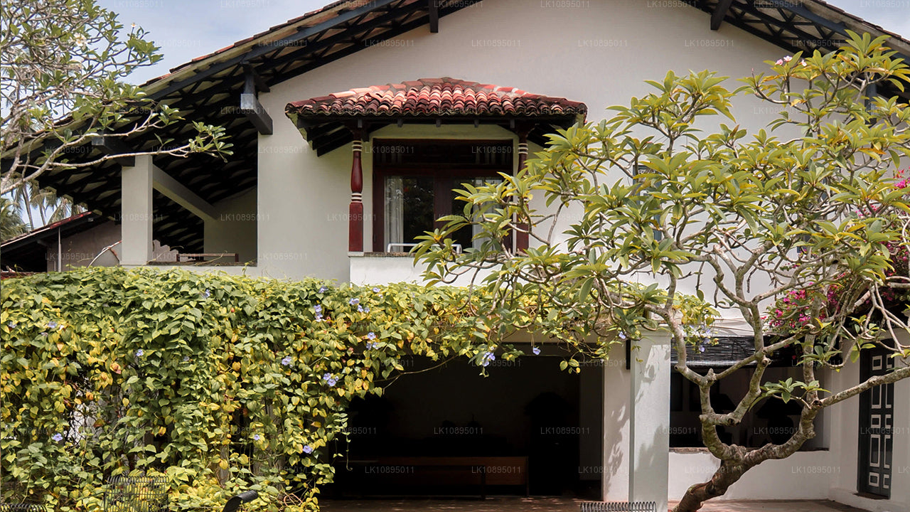 Wrażenia Geoffreya Bawy (8 dni)