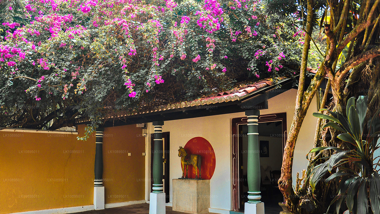 Wrażenia Geoffreya Bawy (8 dni)